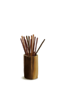 Ǯ